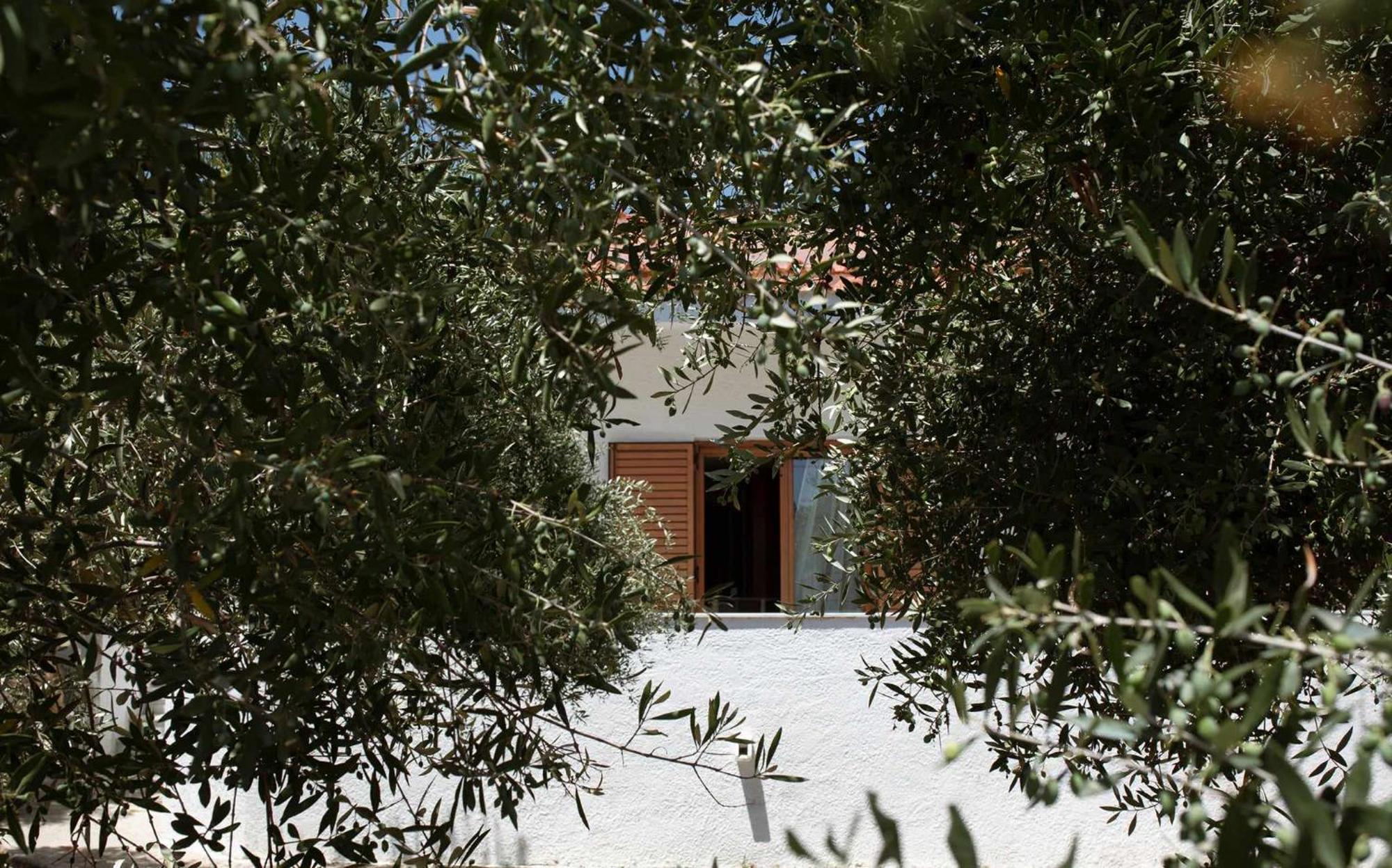 Villa Aelia Kámpos Εξωτερικό φωτογραφία